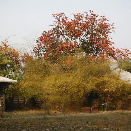 Renest Bandhavgarh Meadows Hotel Tāla Kültér fotó