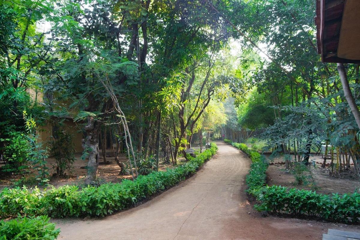 Renest Bandhavgarh Meadows Hotel Tāla Kültér fotó