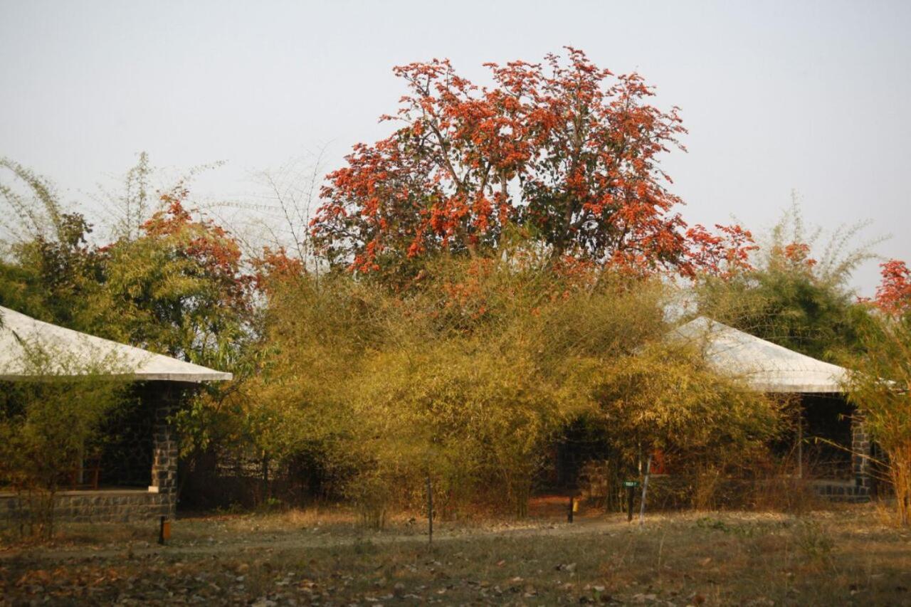 Renest Bandhavgarh Meadows Hotel Tāla Kültér fotó